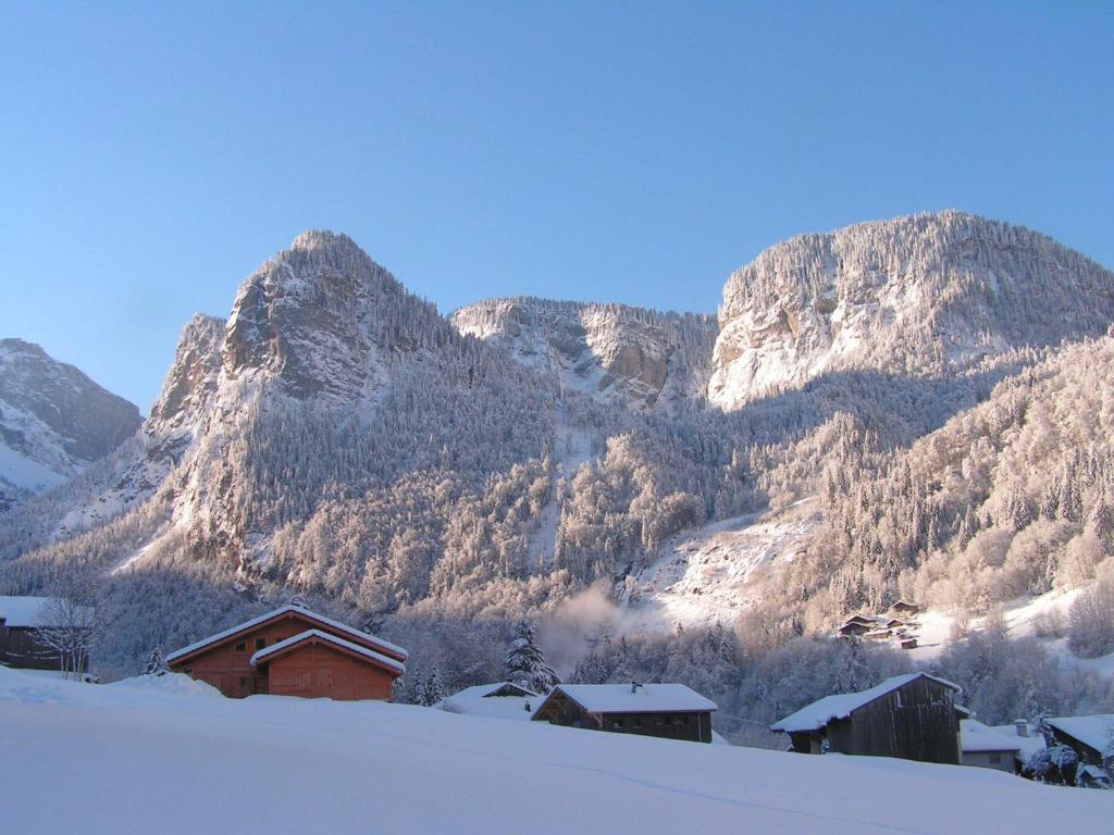 Chalet Narcisse Sixt Стая снимка