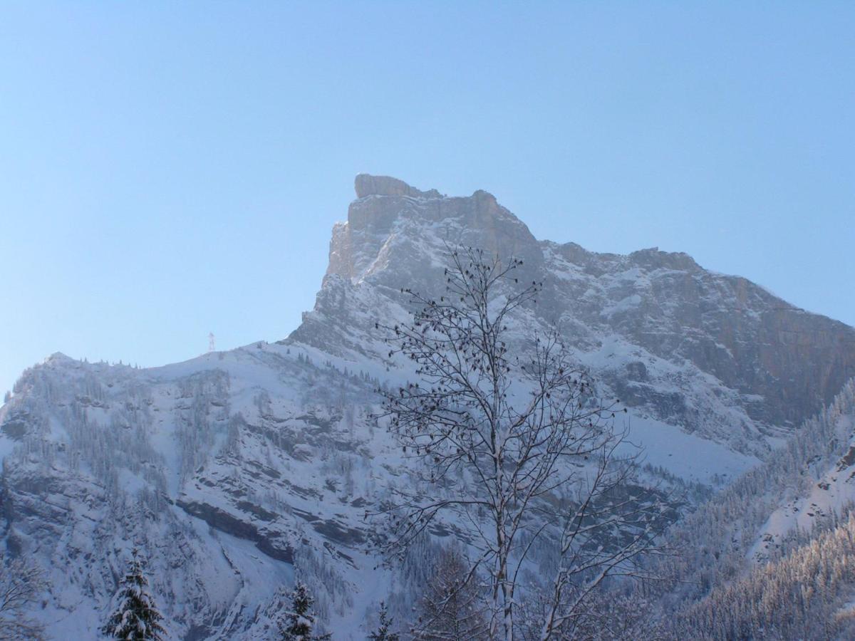 Chalet Narcisse Sixt Стая снимка